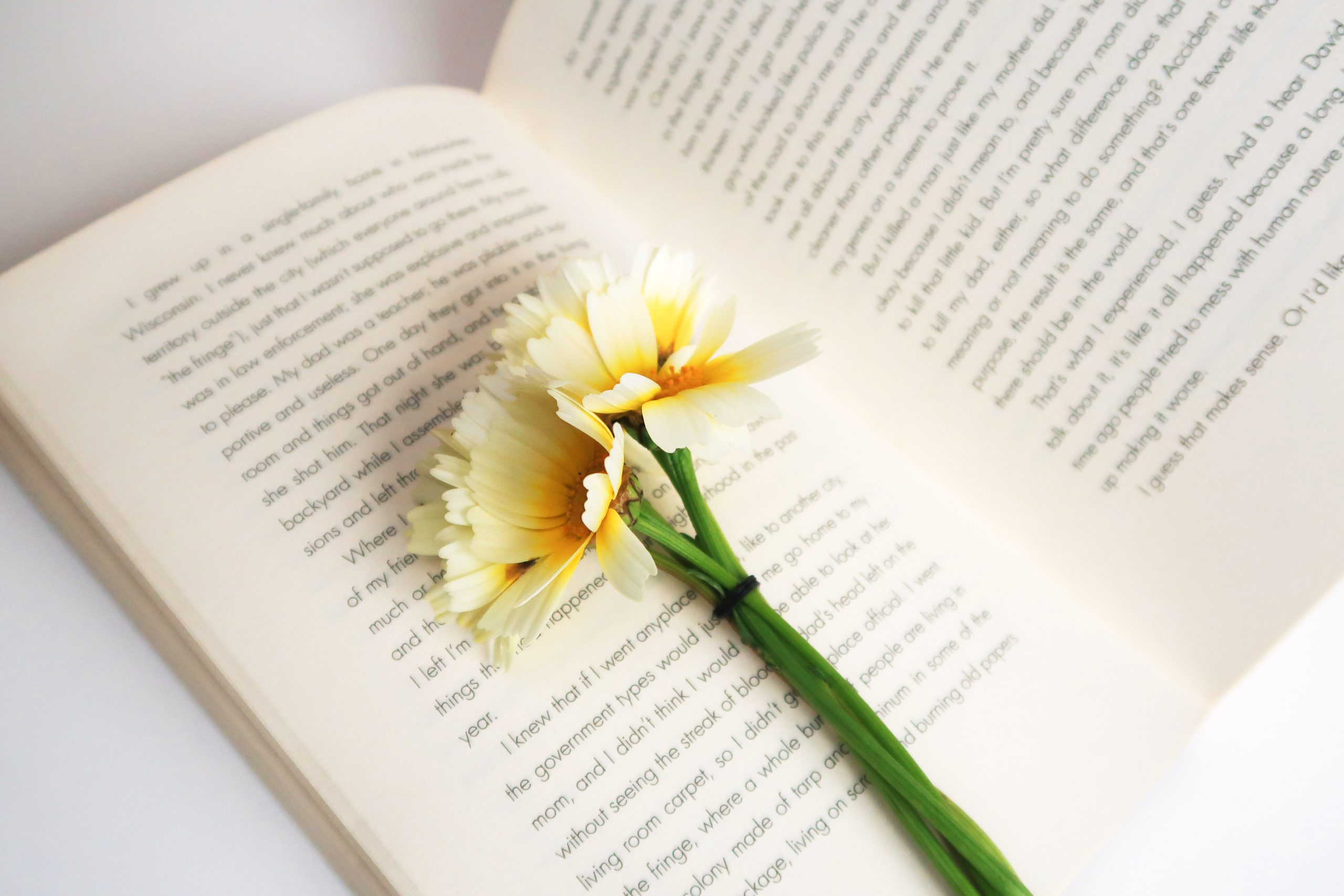white-and-yellow flower on white open book