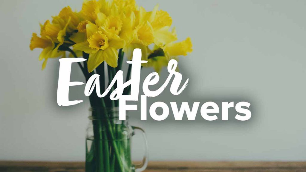 Easter Flowers (2025)