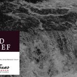 Texas Flood Relief (via UMCOR and the Rio-Texas Conference)