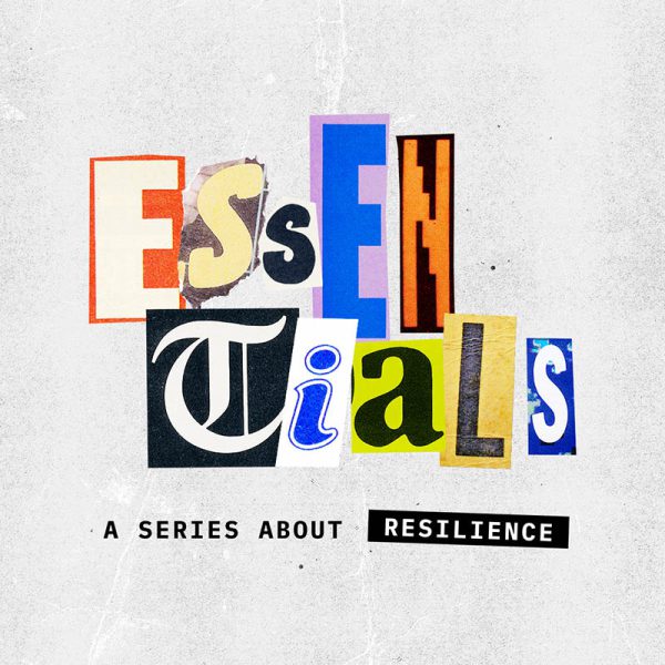 YMSS 20250601-20250622 Essentials (800)